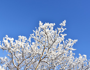 年末年始の休業期間のお知らせ